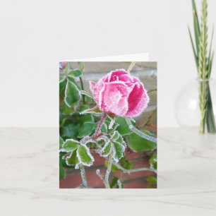 Tarjeta en blanco Rosa escarcha
