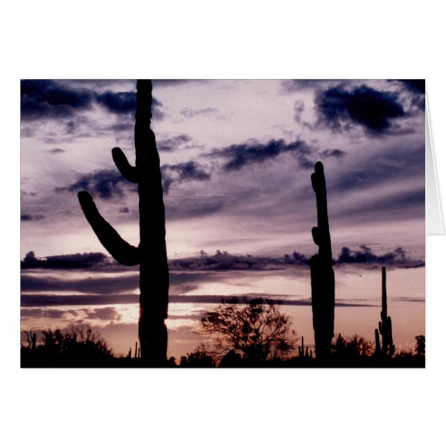 Tarjeta en blanco - Saguaro al atardecer (Anverso (Horizontal))