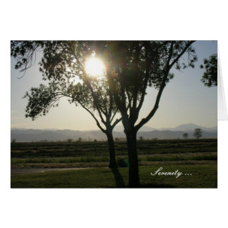 Tarjeta - en blanco - Serenidad ... Luz solar