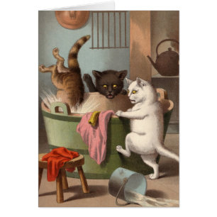 Tarjeta en blanco - serie traviesa del gato -