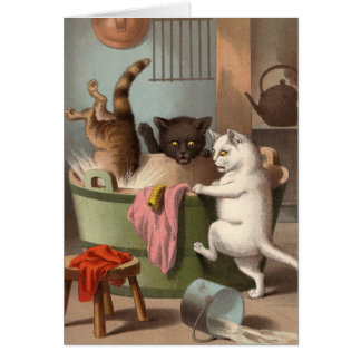 Tarjeta en blanco - serie traviesa del gato -