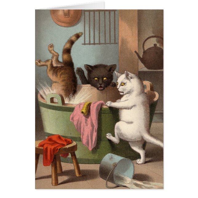 Tarjeta en blanco - serie traviesa del gato - (Frente)