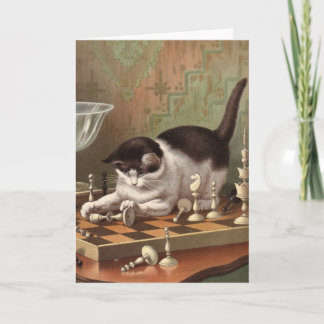 Tarjeta en blanco - serie traviesa del gato - gato