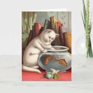 Tarjeta en blanco - serie traviesa del gato - gato