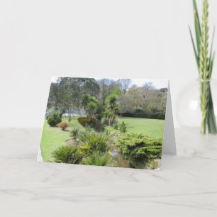Tarjeta en blanco Simply Scenic