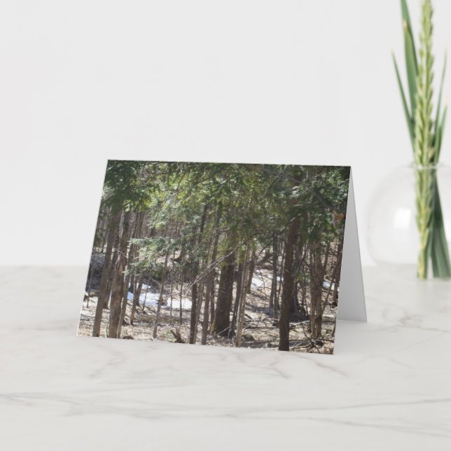 Tarjeta en blanco Spring Woods (Anverso)