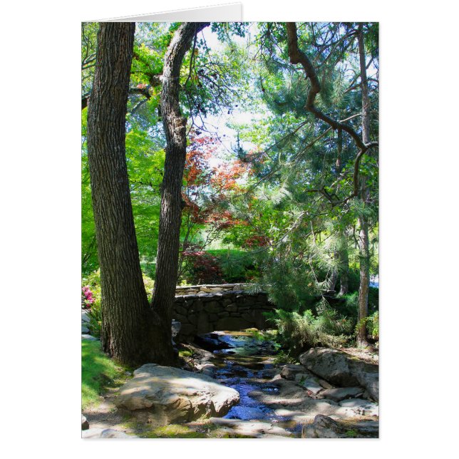 Tarjeta en blanco, Stream y Bridge (Frente)