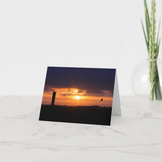 Tarjeta en blanco, Sunrise (Anverso)
