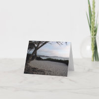 Tarjeta en blanco tranquila de Carmel