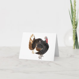 Tarjeta en blanco Turquía