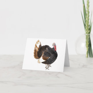 Tarjeta en blanco Turquía