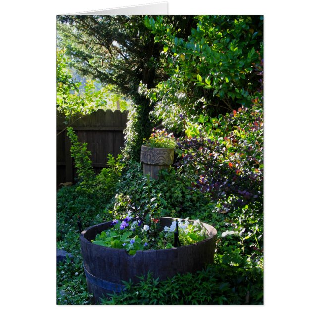 Tarjeta en blanco, Viola Garden (Frente)