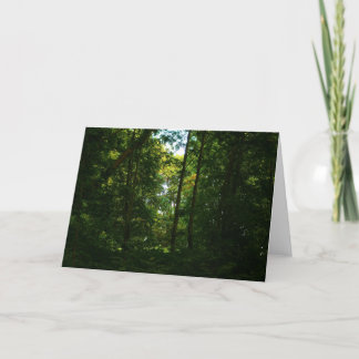 Tarjeta En el bosque oscuro