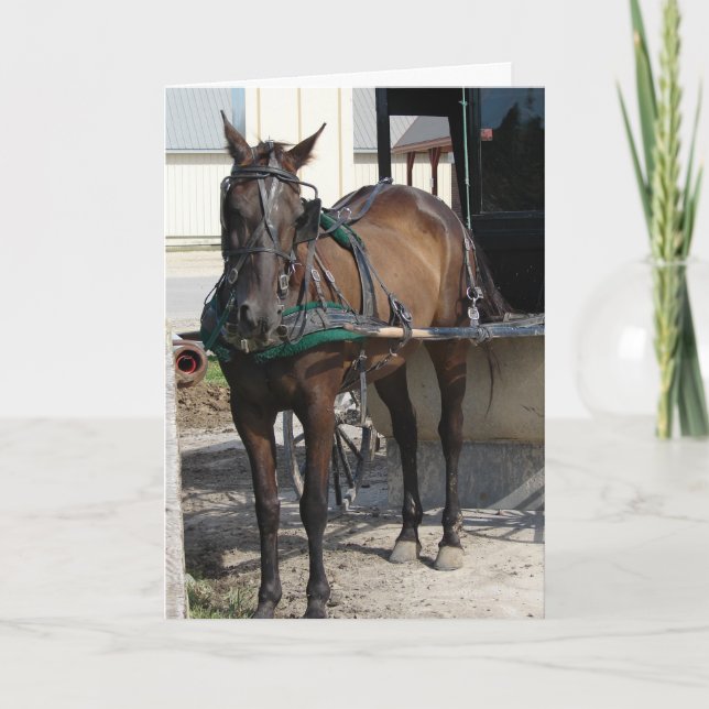 Tarjeta En el día de cumpleaños de la post chocante (Anverso)