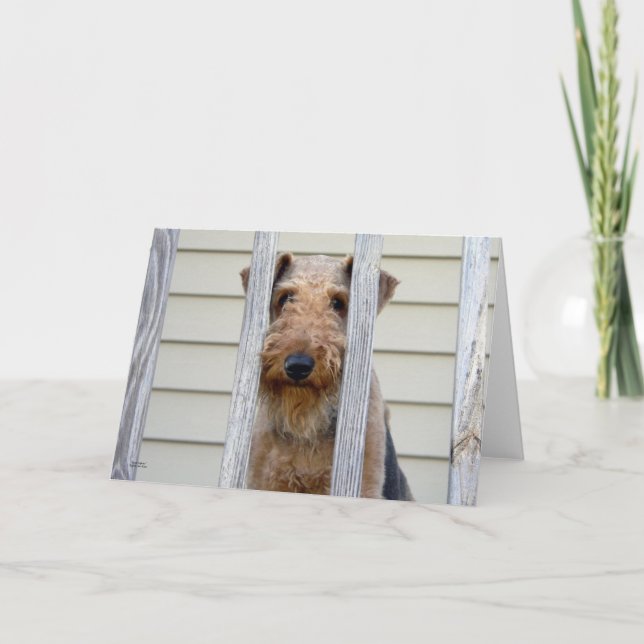 Tarjeta "En el Doghouse" (Anverso)