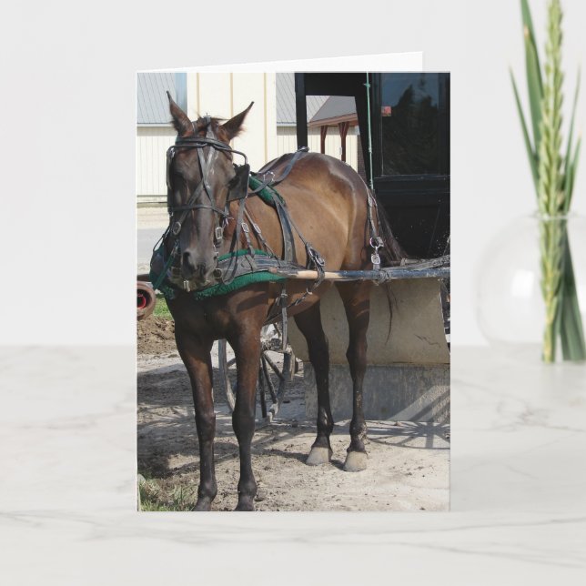 Tarjeta En el golpeador puesto (Anverso)