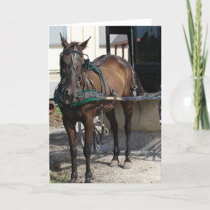 Tarjeta En el golpeador puesto