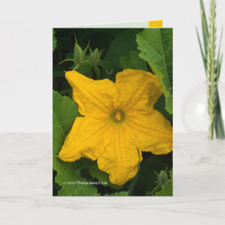 Tarjeta En el jardín