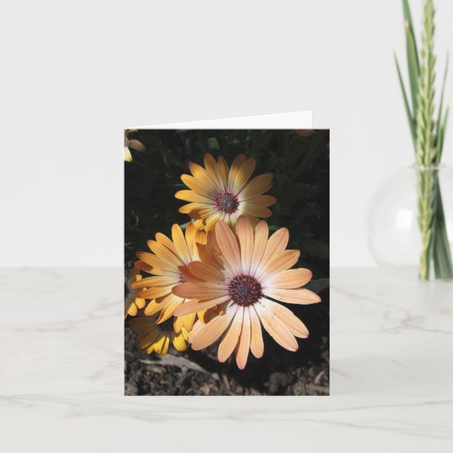 Tarjeta En la palma (Anverso)