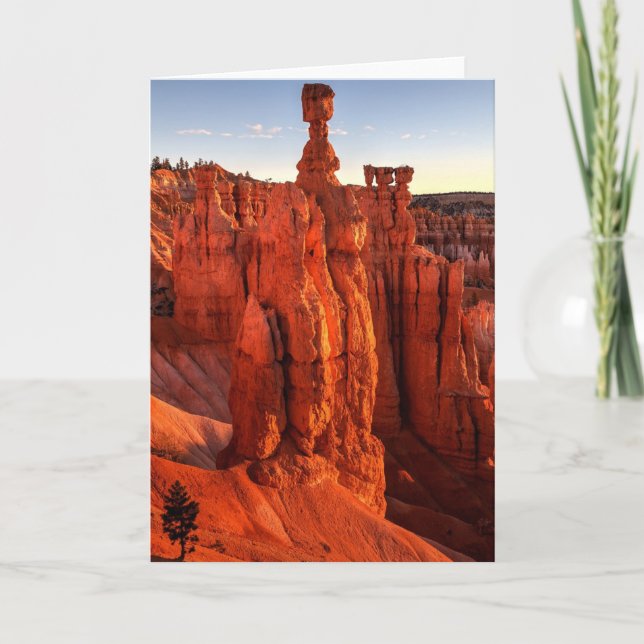 Tarjeta En la sombra de Giants (Anverso)