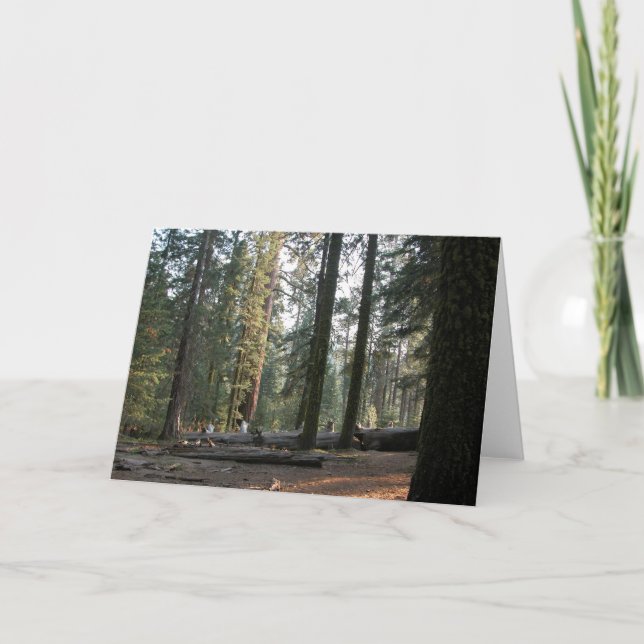 Tarjeta En Sierra Neveda (Anverso)