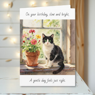 Tarjeta En Tu Cumpleaños   Día Relajante Temático de Gatos