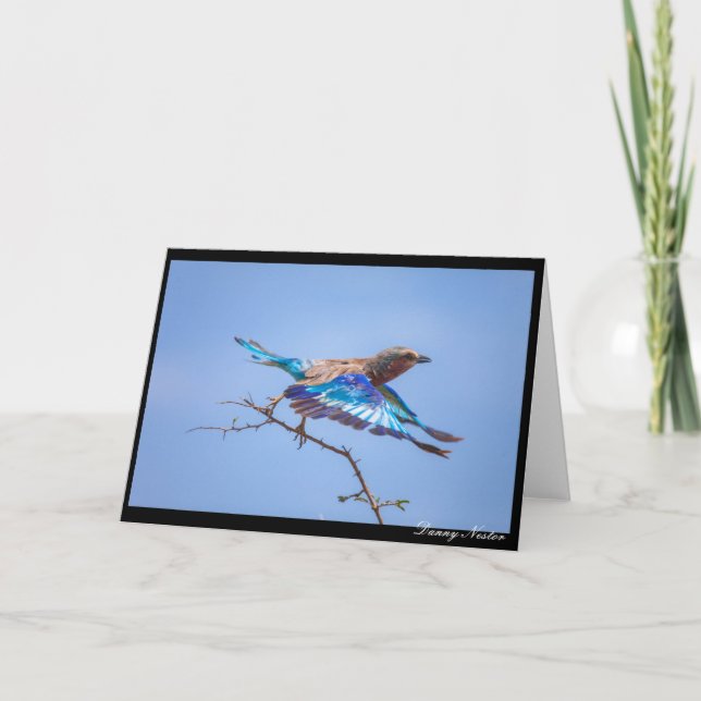 Tarjeta En vuelo (Anverso)