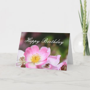 Tarjeta encantadoras flores rosadas de rosa salvaje feliz 