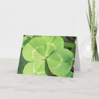 Tarjeta Encanto de buena suerte del trébol de 4 hojas