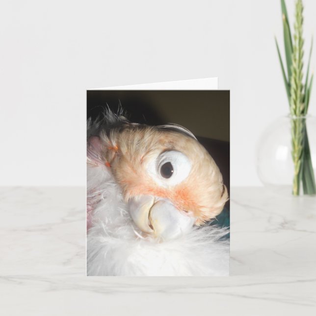 Tarjeta Encanto de Ella (Anverso)