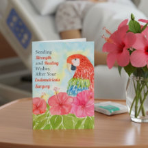 Endometriosis Healing Scarlet Macaws, Hibiscus