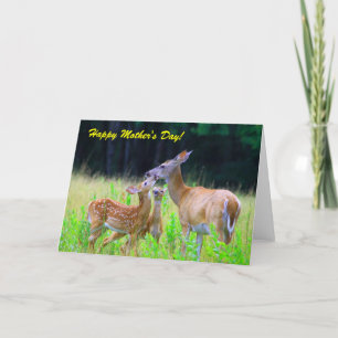 Tarjeta Enfermería de los Fawns venados, ¡Feliz Día de la