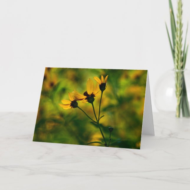 Tarjeta Enfoque de otoño (Anverso)