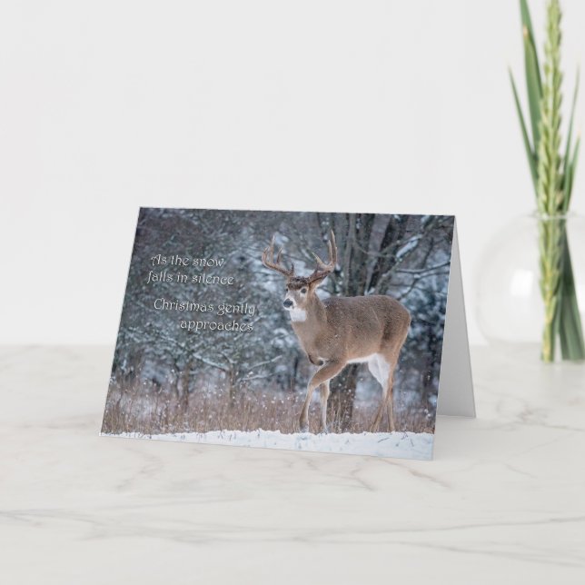 Tarjeta Enfoques de navidades (Anverso)