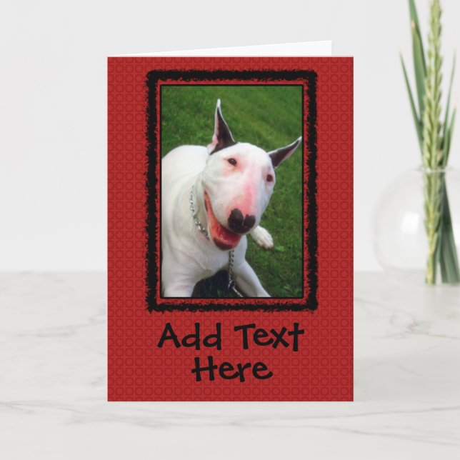 Tarjeta English Bull Terrier Custom Greeting Card (Anverso)