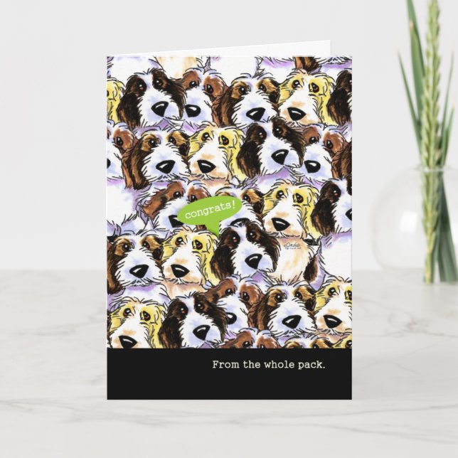 Tarjeta Enhorabuena de perros divertidos del grupo PBGV (Anverso)