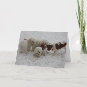 Tarjeta Enhorabuena en el nuevo trabajo