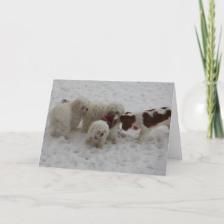 Tarjeta Enhorabuena en el nuevo trabajo