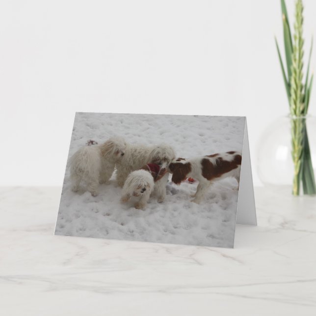 Tarjeta Enhorabuena en el nuevo trabajo (Anverso)