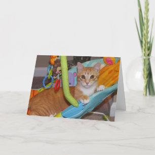 Tarjeta Enhorabuena en su nueva adición