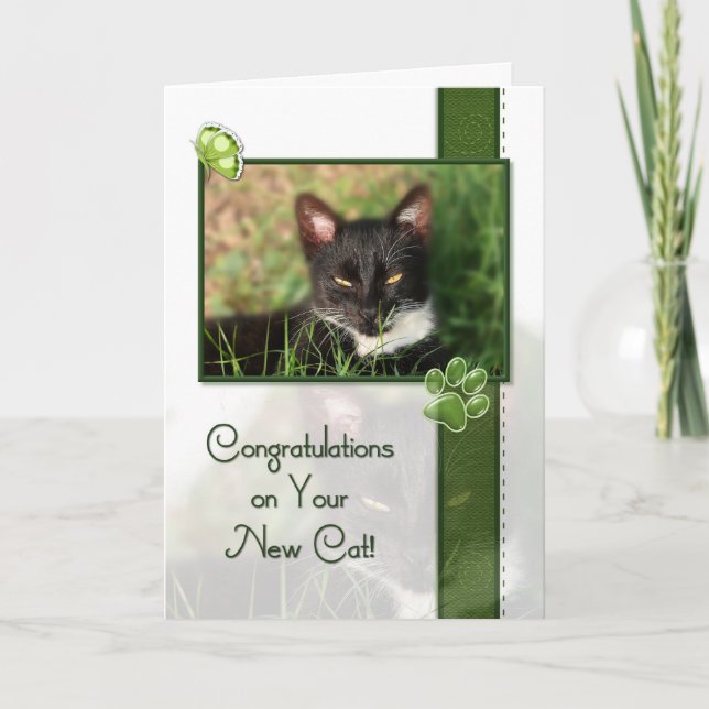 Tarjeta Enhorabuena en su nuevo gato (Anverso)