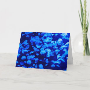 Tarjeta Enjambre de medusas