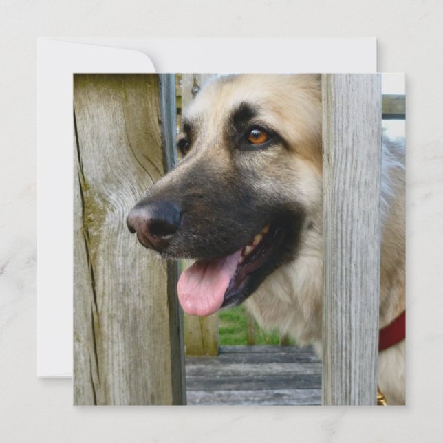 Tarjeta Enmarcado (Anverso)