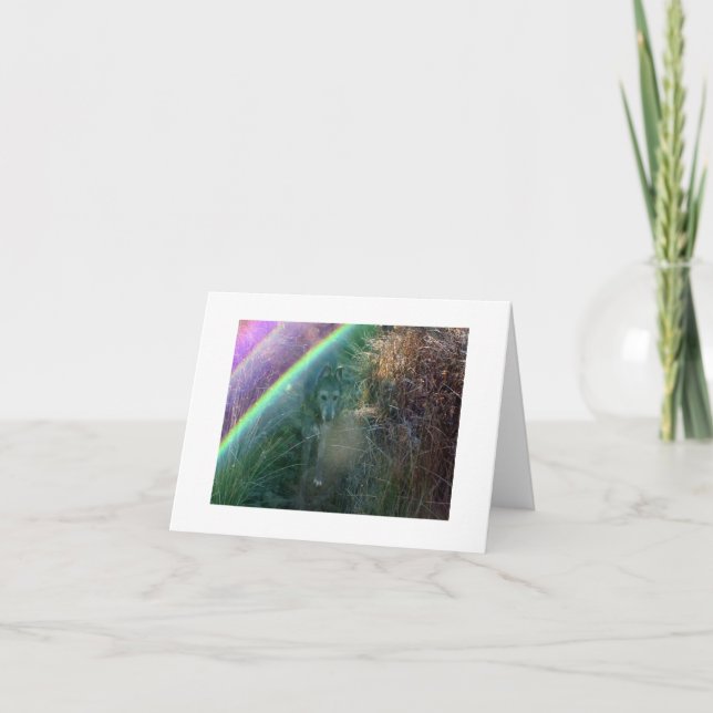 Tarjeta Entrada al puente del arco iris (Anverso)