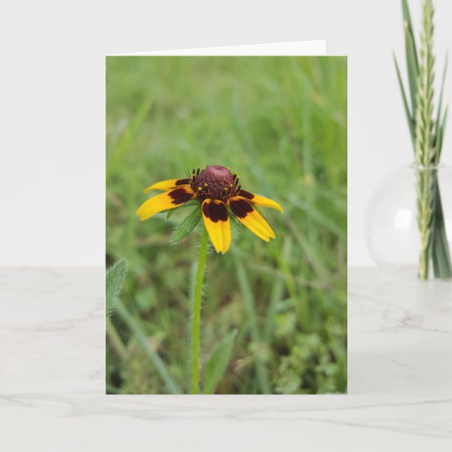 Tarjeta Entre los Wildflowers Notecards (espacio en blanco (Anverso)