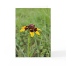 Entre los Wildflowers Notecards (espacio en blanco