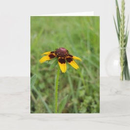 Tarjeta Entre los Wildflowers Notecards (espacio en blanco