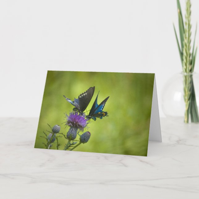 Tarjeta Entrelazado (Anverso)