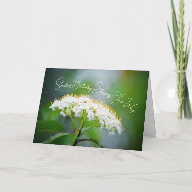 Tarjeta Enviando bendiciones de cumpleaños en tu camino Fl (Anverso)