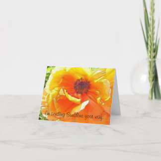 Tarjeta Enviando sol su manera